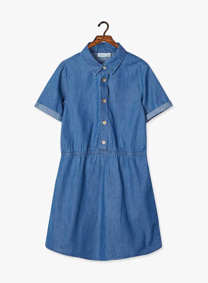 Rolled Sleeve Dress Blue
