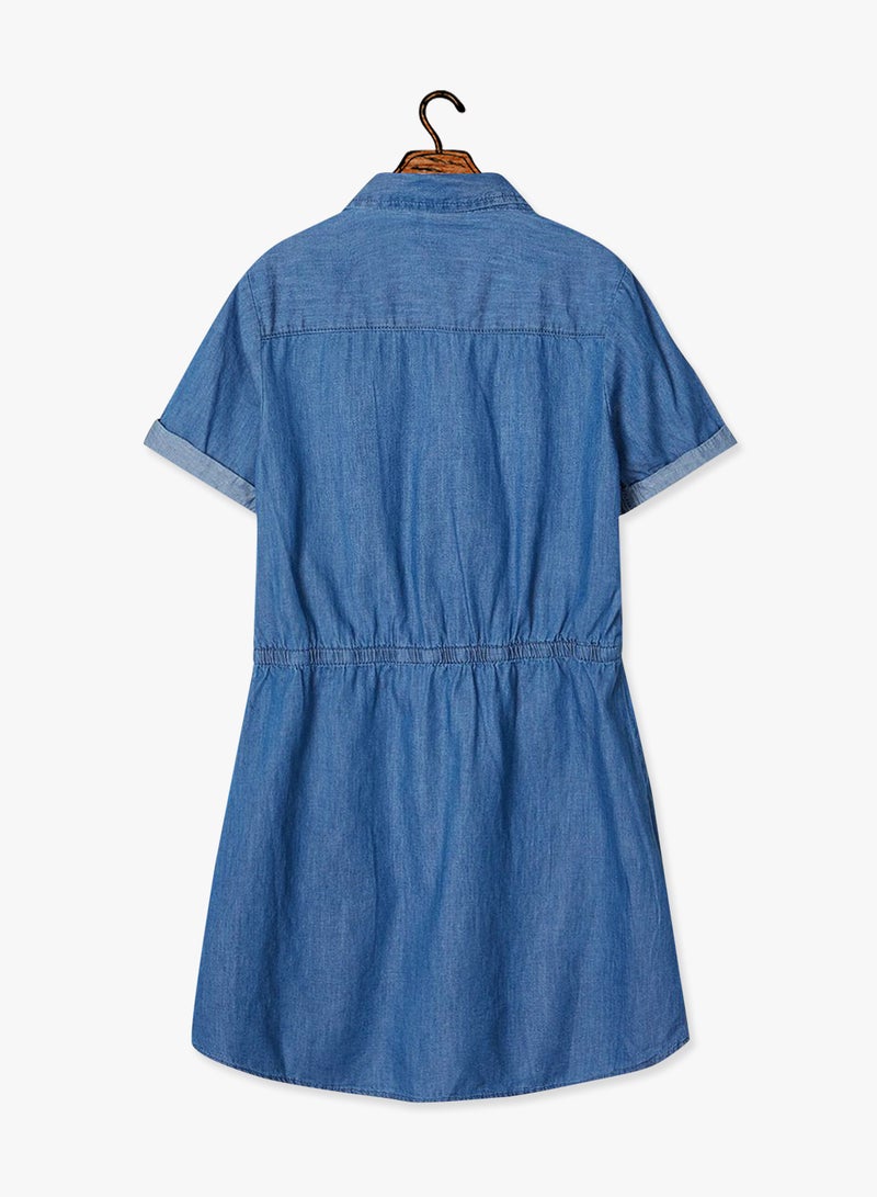 Rolled Sleeve Dress Blue