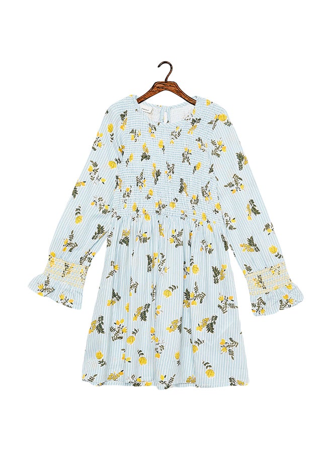 Classic Style Printed Smocked Dress Blue