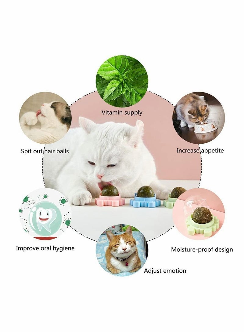 Catnip Wall Ball, 3-Piece Cat Toys, Edible Licking Toy, Chew Teeth Cleaning Bite Rotatable Indoor Decoration