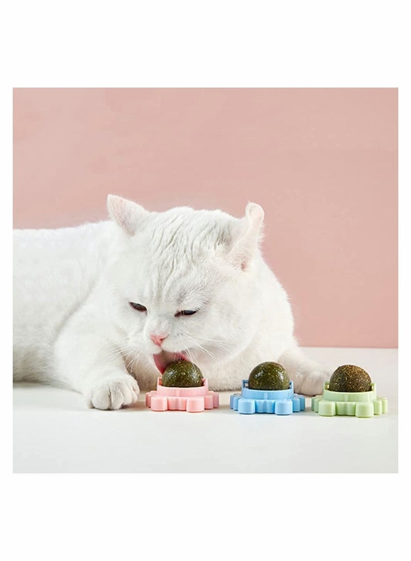 Catnip Wall Ball, 3-Piece Cat Toys, Edible Licking Toy, Chew Teeth Cleaning Bite Rotatable Indoor Decoration