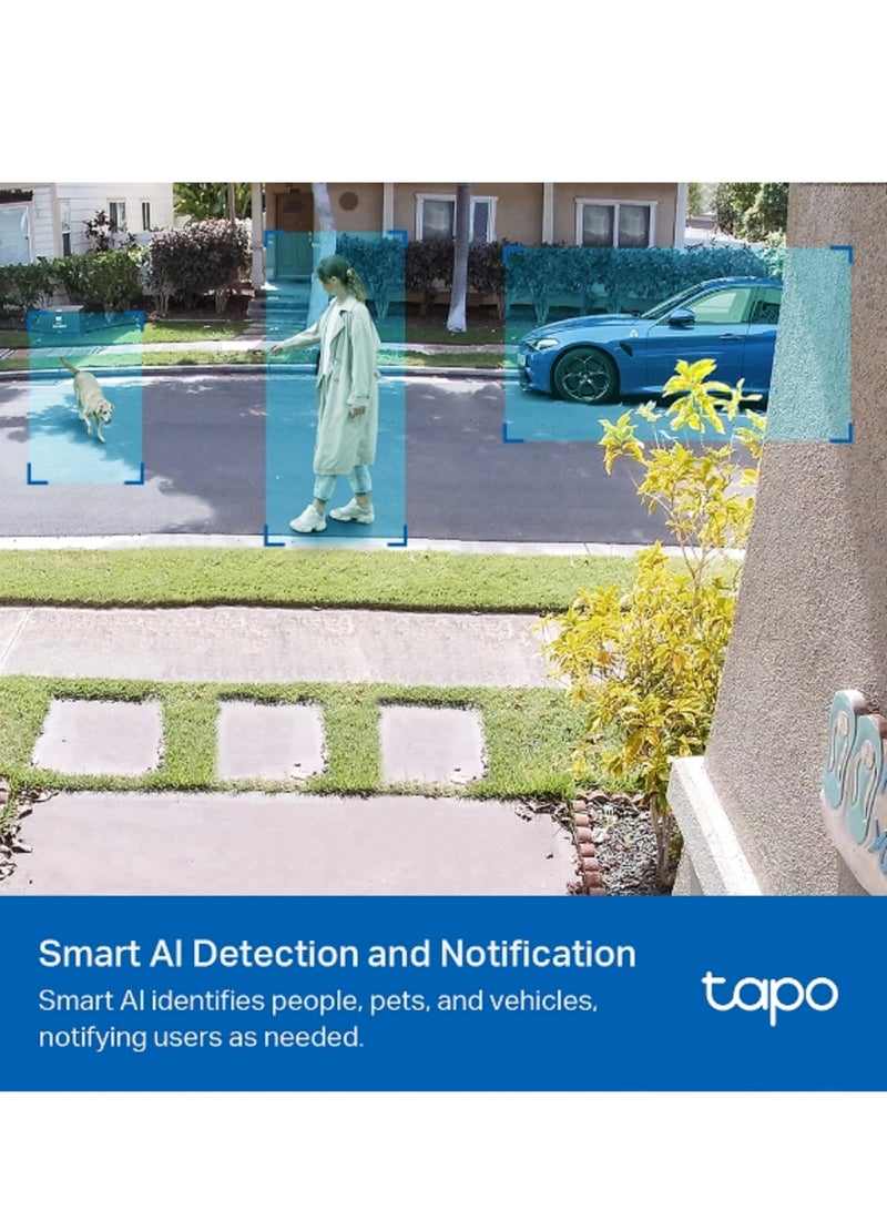 Tapo C420S2 Smart Wire-Free Security Camera System, 2-Camera System, 2K QHD, 180-Day Battery life, Full Color Night Vision, Smart AI Detection, Wire Free Placement, IP65 Water And Dust Resistant