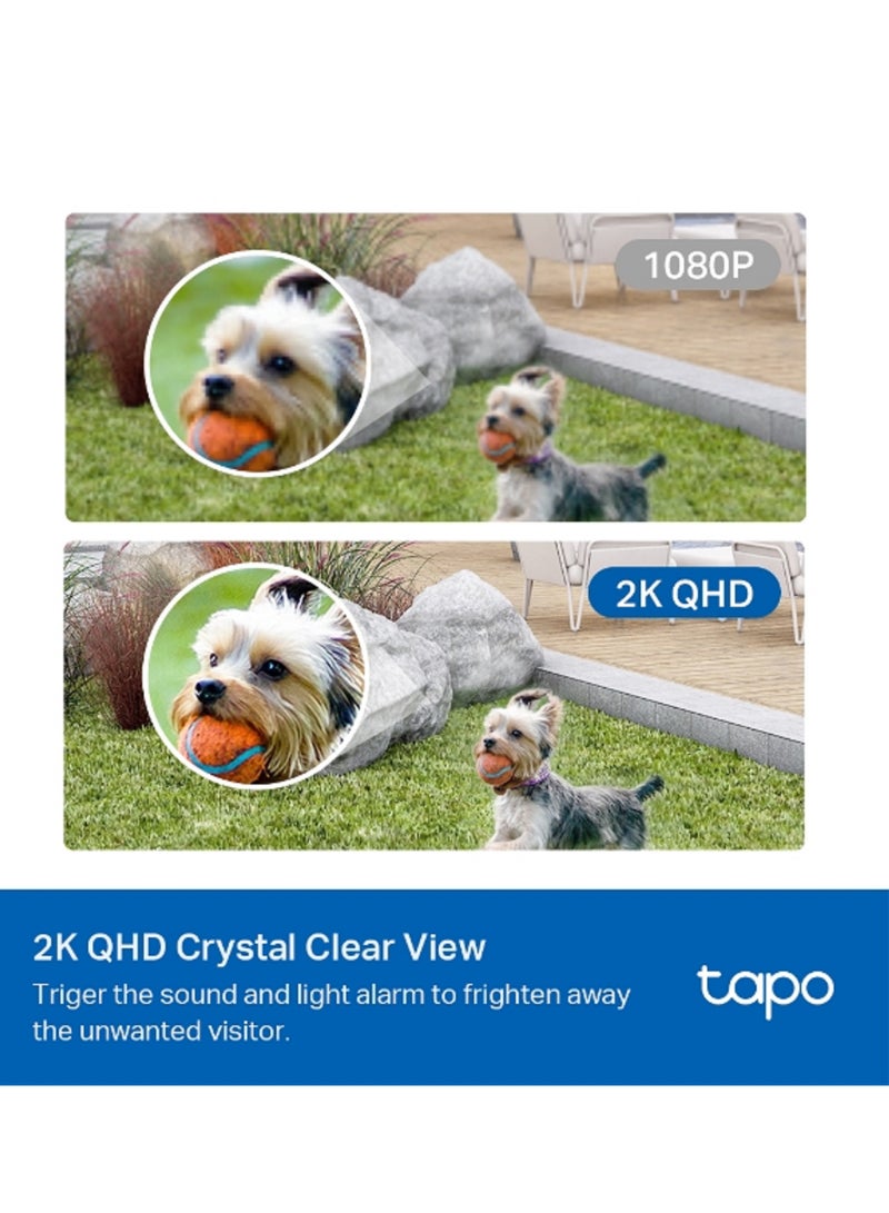 Tapo C420S2 Smart Wire-Free Security Camera System, 2-Camera System, 2K QHD, 180-Day Battery life, Full Color Night Vision, Smart AI Detection, Wire Free Placement, IP65 Water And Dust Resistant