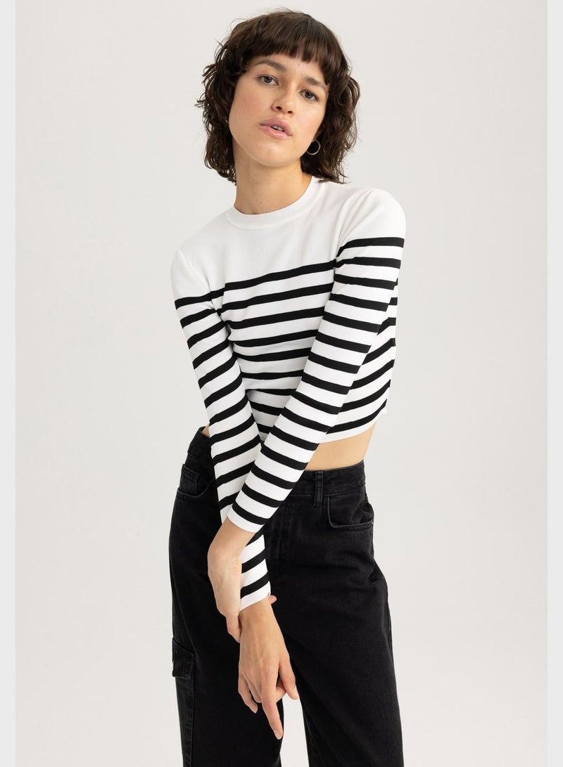 Slim Fit Crew Neck Striped Sweater