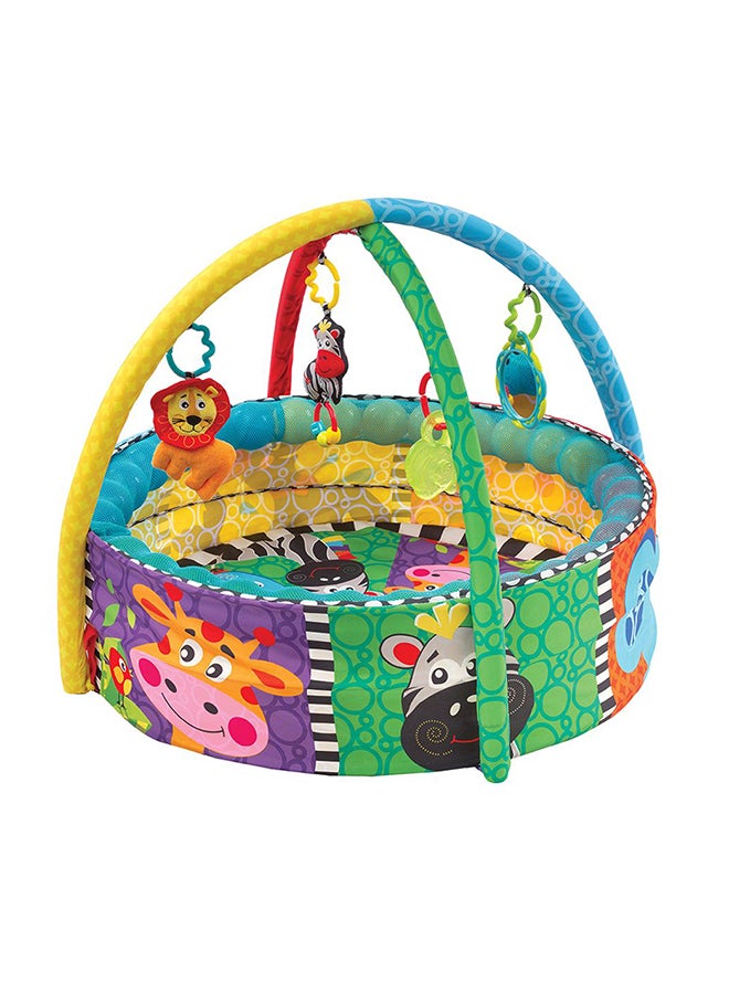 Ball Playnest Activity Gym