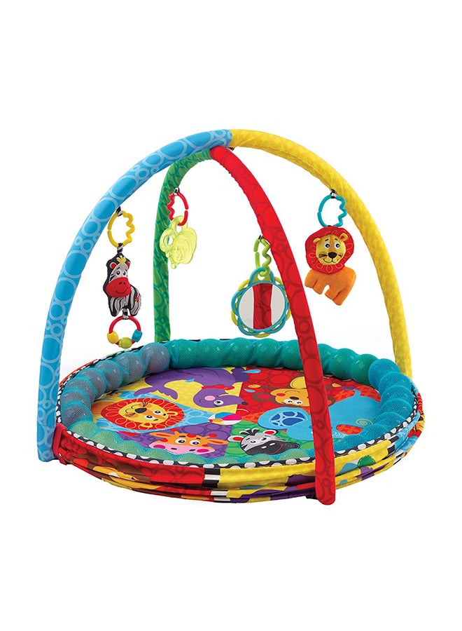 Ball Playnest Activity Gym