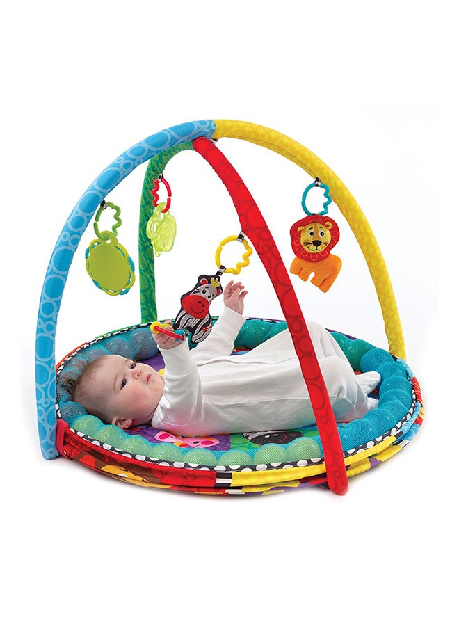 Ball Playnest Activity Gym