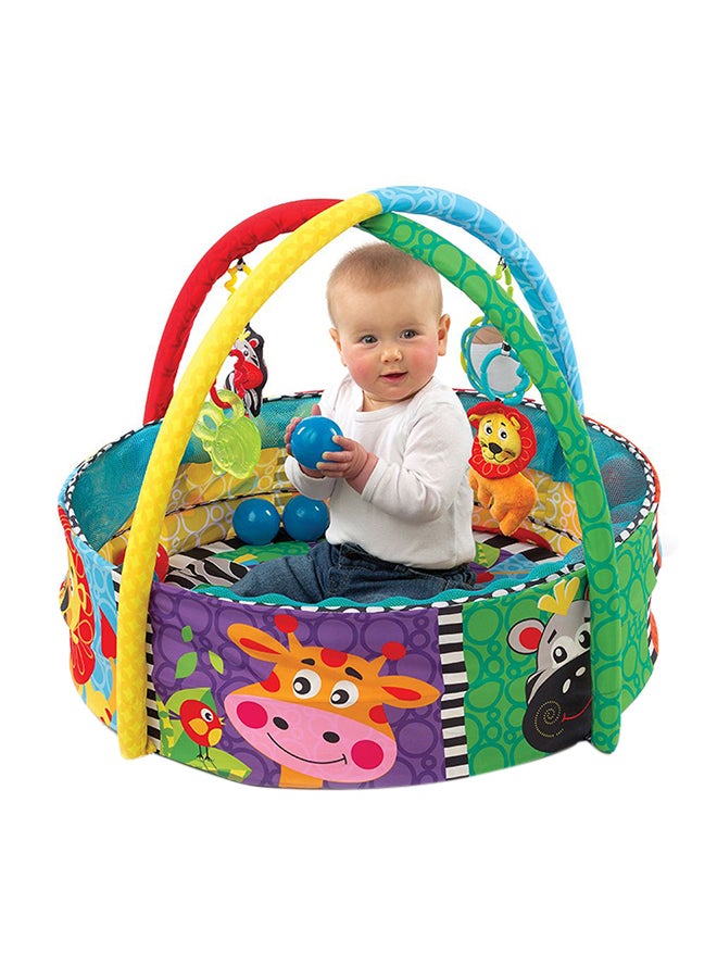 Ball Playnest Activity Gym