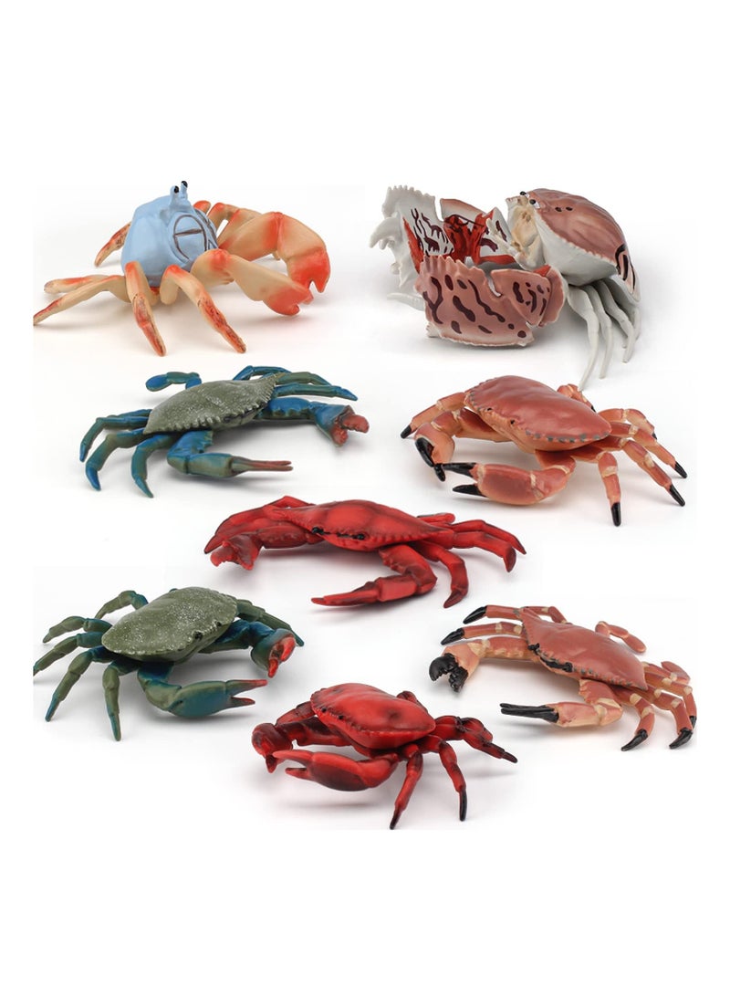 Marine Animal Model Ocean Sea Animals Figures 8 PCS Realistic Crab Figurines Party Hermit Family Favors Supplies Cake Toppers Set Toys for Boys