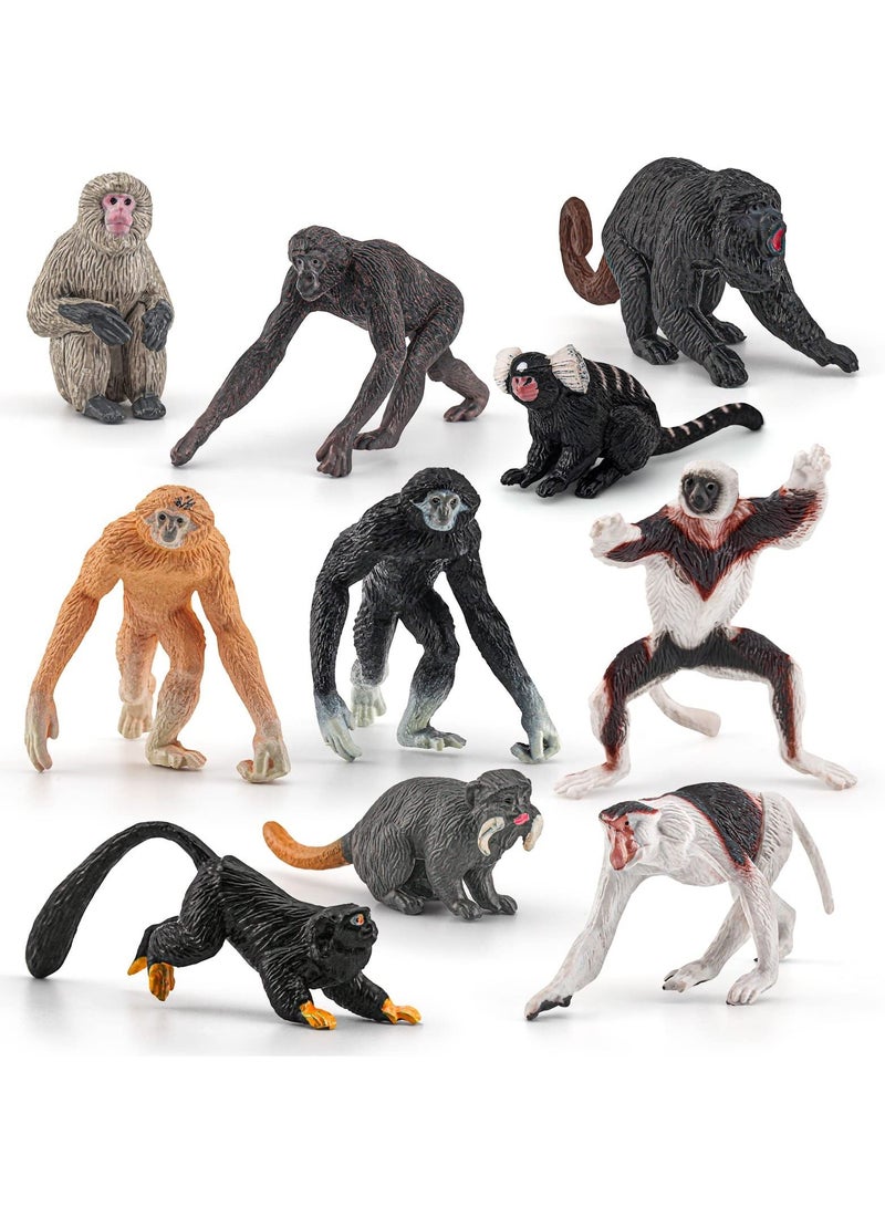 10 PCS Various Monkeys and Gorillas Figurines Playset, Proboscis Japanese Macaques Marmosets Gibbons Lemurs, Cake Toppers Birthday Gift for Kids Todllers
