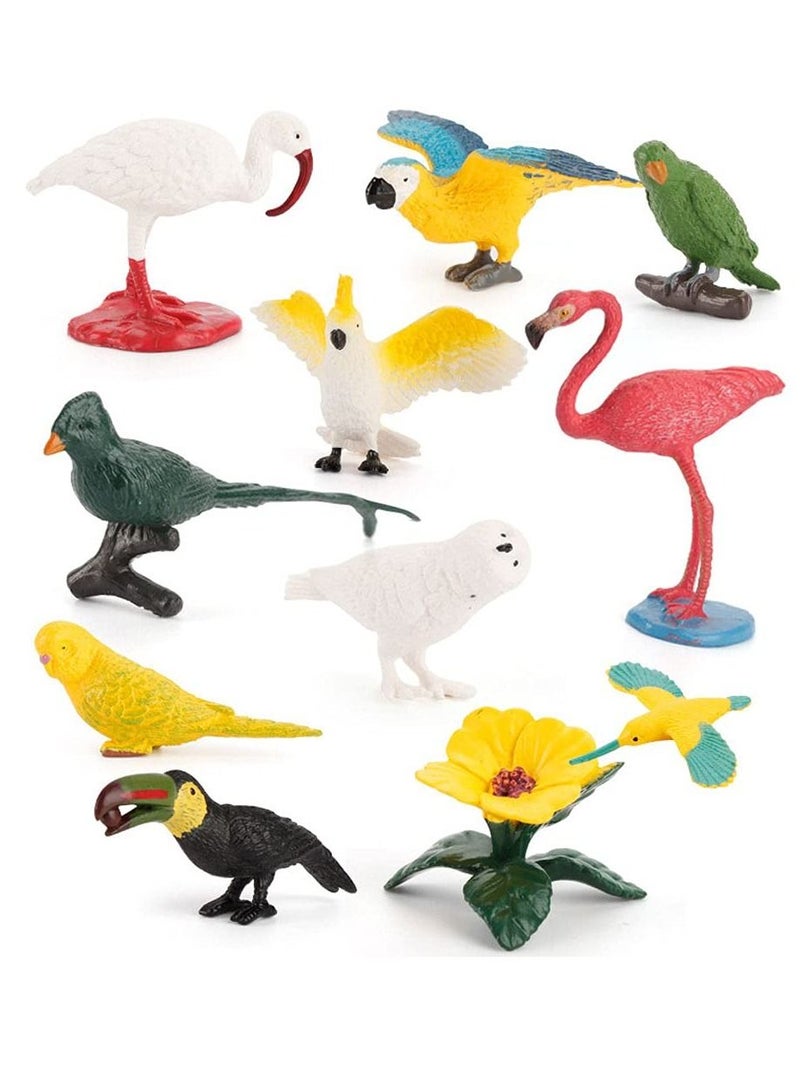 Mini Bird Animal Model Parrot Figure Realistic Plastic Playset Decorative Ornament for Boys Girls Kids Preschool Education Party Cake Cupcake Toppers (10 Pack)
