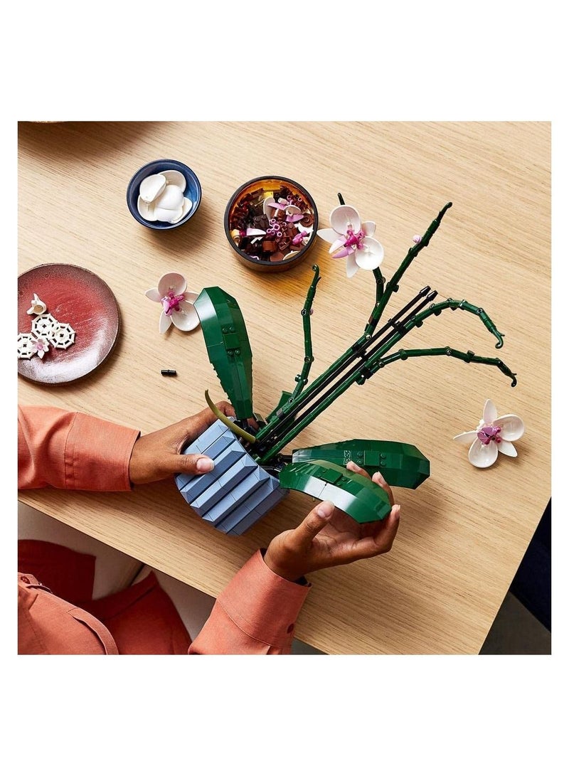 Orchid Plant Decor Building Kit