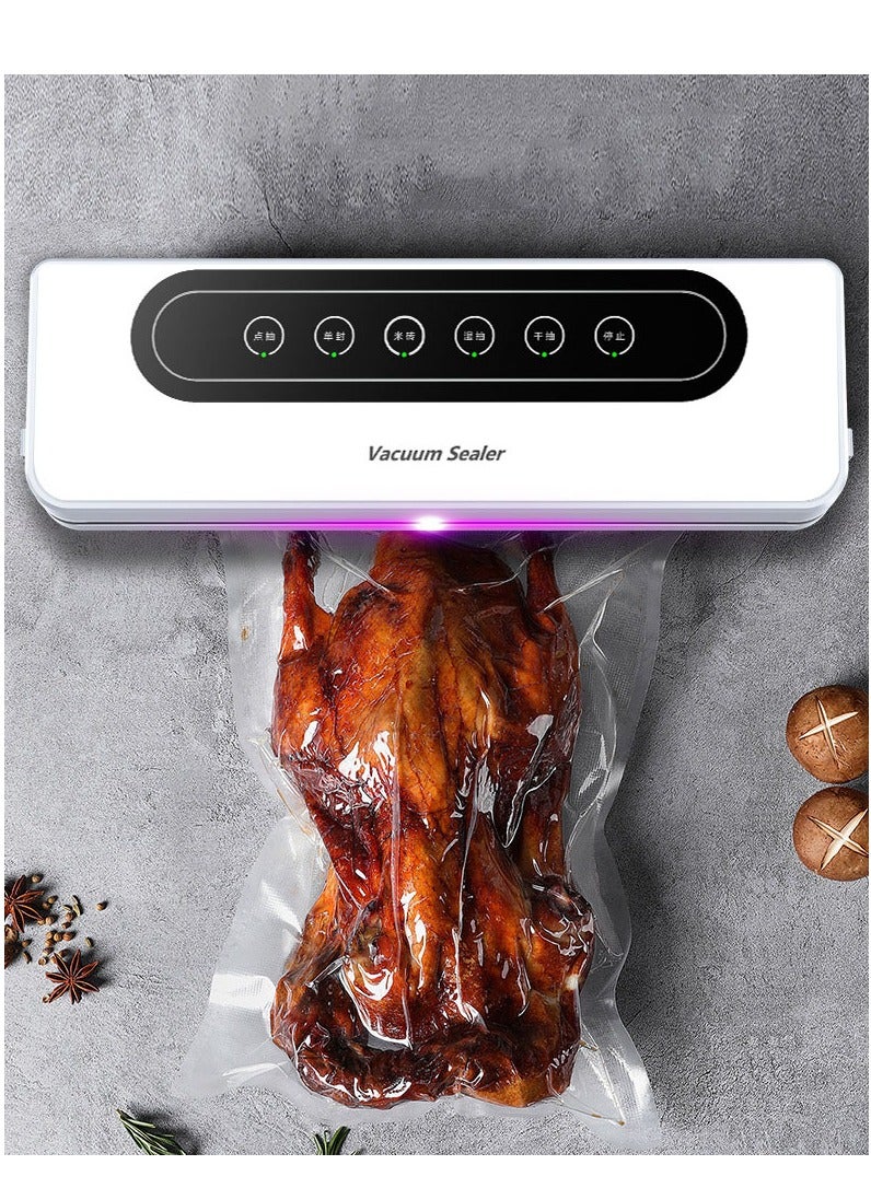 Automatic Vacuum Sealer Machine - Food Sealer with Dry & Moist Modes for Food Storage, Compact Design + 10Pcs Seal Bags Starter Kit