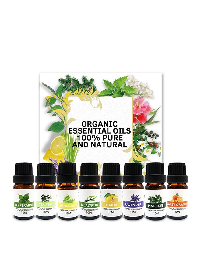 8-Piece Essential Oil Set Clear 10ml