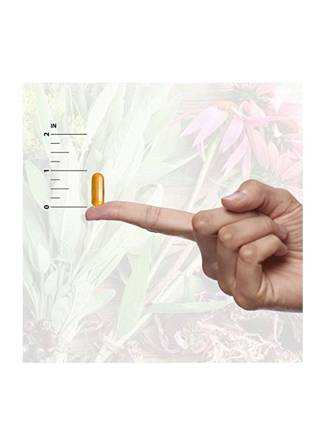 Oil Of Oregano Supports Digestive Health - 90 Softgels