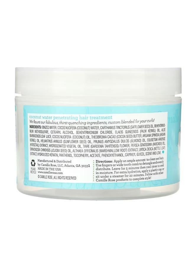 Coconut Water Penetrating Hair Treatment Maximum Hydration 8 oz  240 ml