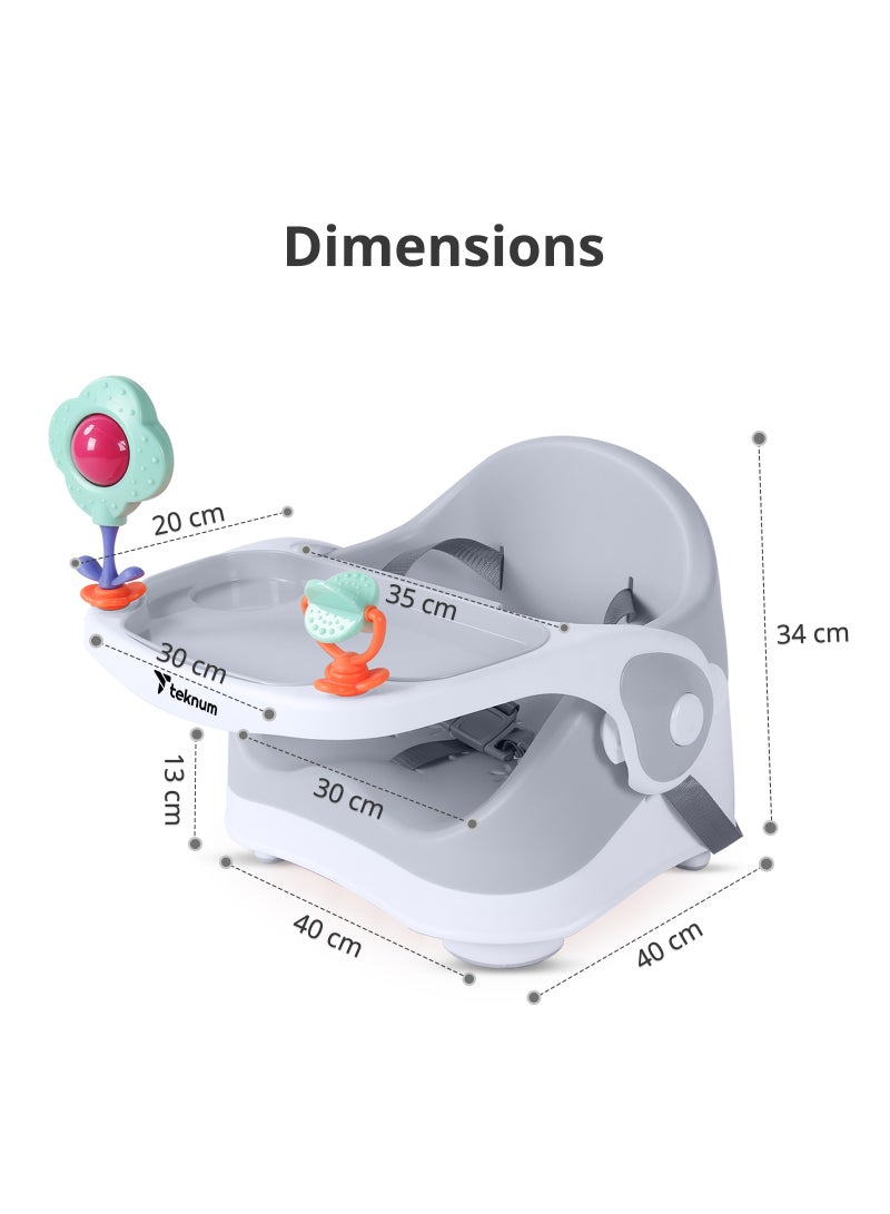 Portable Booster Chair With 3-point Safety Belt - Grey