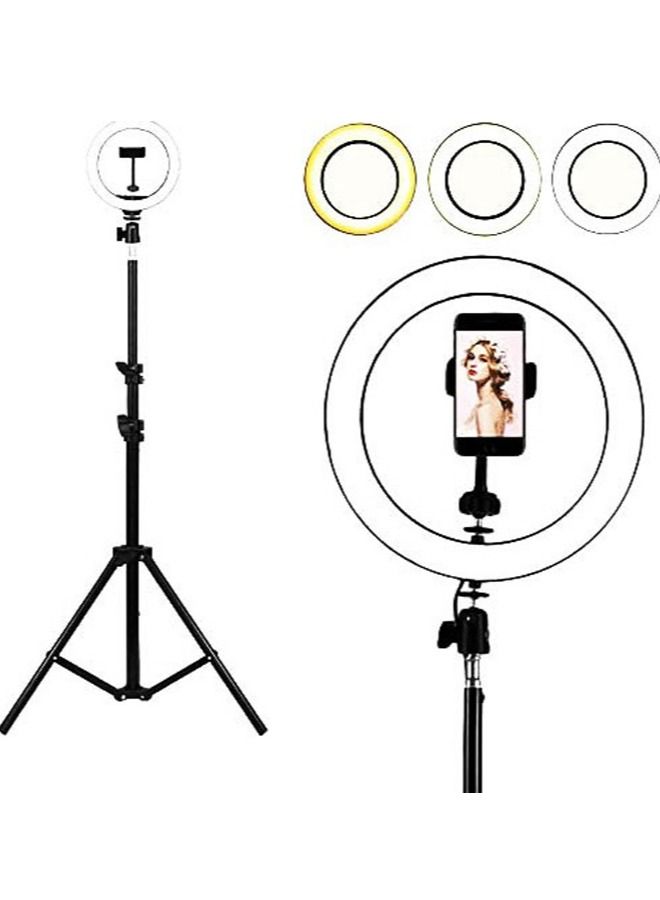 10 Selfie Ring Light with 210CM Tripod Stand Including Phone Holder Ring Light for iPhone Android Light Stand for Live Stream Makeup YouTube Video Photography