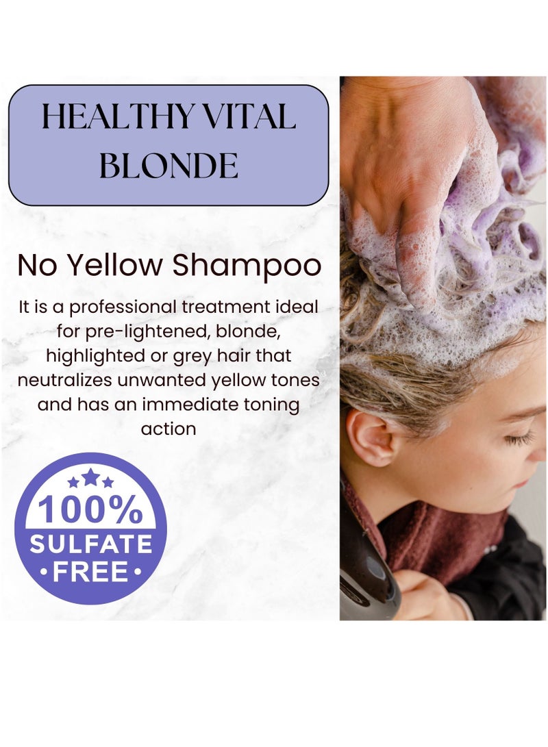 Silver Shampoo & Conditioner  - Anti-Yellow Formula for Bright - Vibrant Hair - Smooth and Silky Texture - Preserves Hair Color - Gentle Cleansing 500 nl