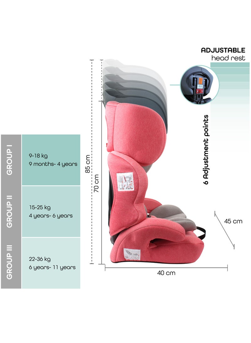 Tolo Group 9M to 11 Years Kids Car Seat, Pink