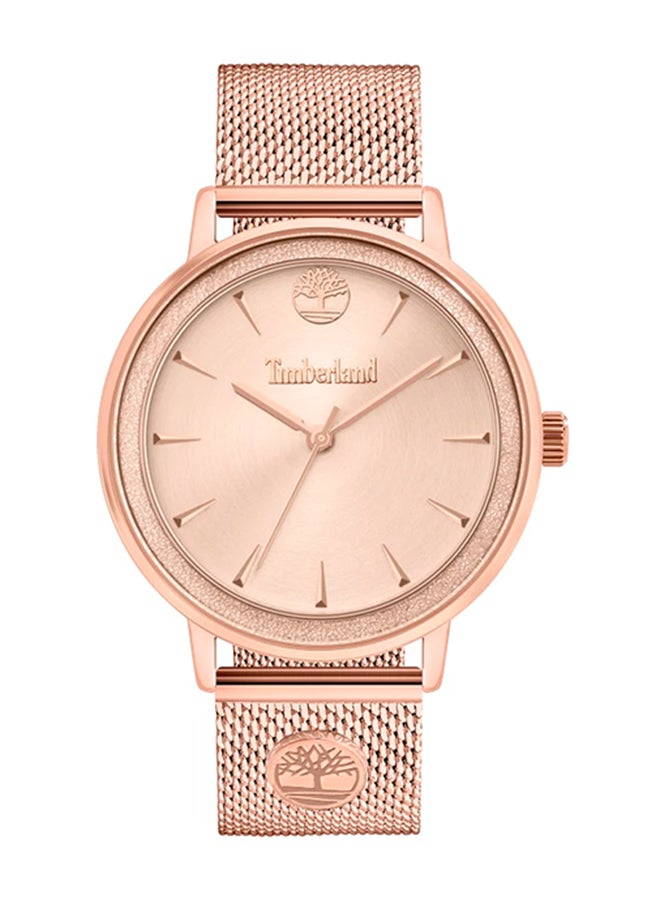 Women's Round Shape Stainless Steel Analog Wrist Watch 39 mm - Rose Gold - T TBL15961MYR-32MM