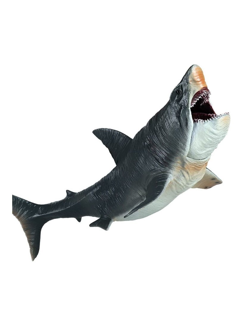 Large Shark Toys Megalodon, Plastic Assorted Ocean Animal Shark Figurine Realistic Sea Creature Cognitive Toy Shark Figure for Collection Gift, Bath Toy, Cake Topper