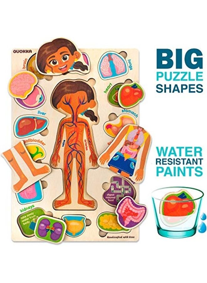 2-Piece  Anatomy Learning Educational Wooden Toddler Puzzles Set