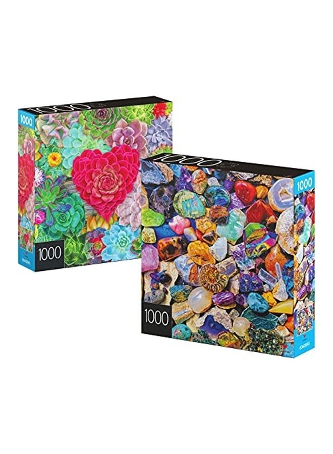 Pack Of 2, 1000-Piece Succulents And Rocks And Minerals Jigsaw Puzzles Set