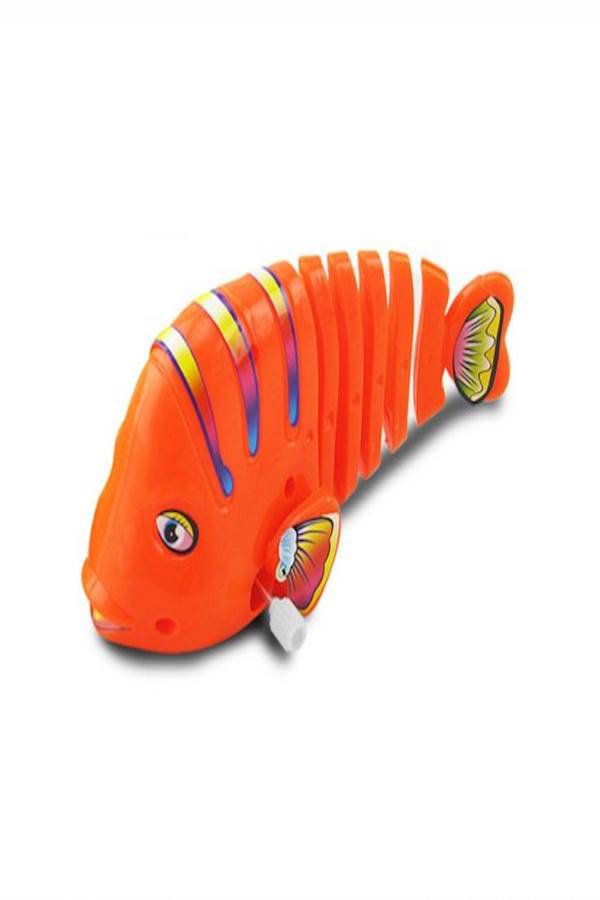 Rocking Fish Educational Toys