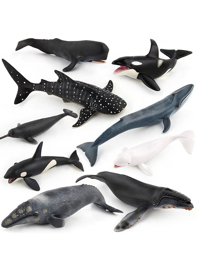 Simulate Whale Animal Modeling Educational Toy for Kids Rome Decoration 26*26*26cm