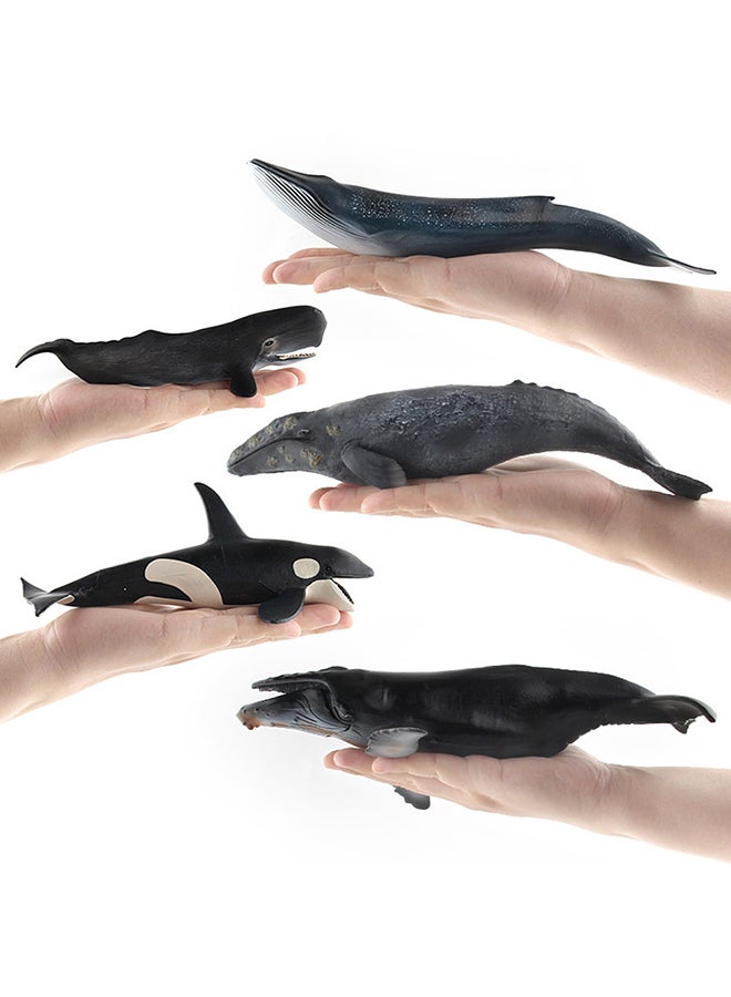 Simulate Whale Animal Modeling Educational Toy for Kids Rome Decoration 26*26*26cm