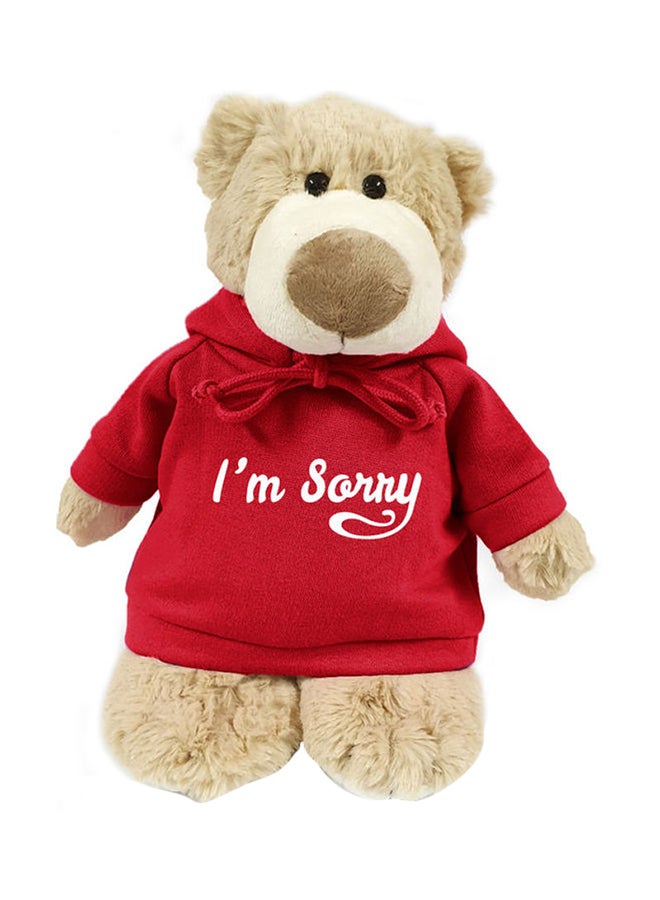 Stuffed Plush Im Sorry Hooded Mascot Teddy Bear 28cm