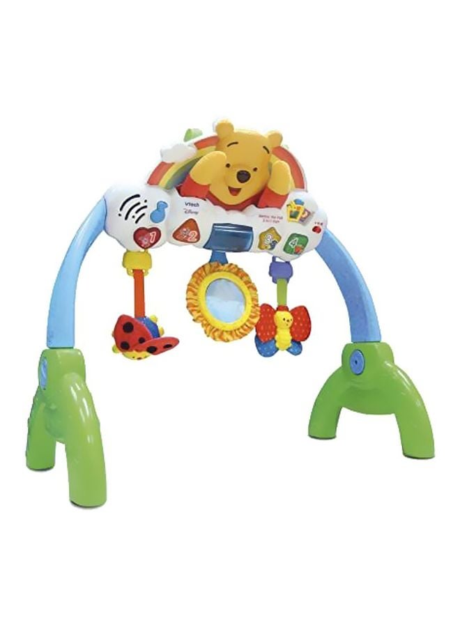 2-In-1 Peek A Boo Gym Activity Toy