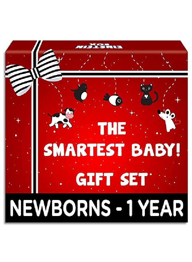 Gift Set For Babies Newborns And Infants Of Age 136912 Months | High Contrast Gift Set With Set Of Rattles+ High Contrast Books+ High Contrast Flashcards| For Baby Boys Girls