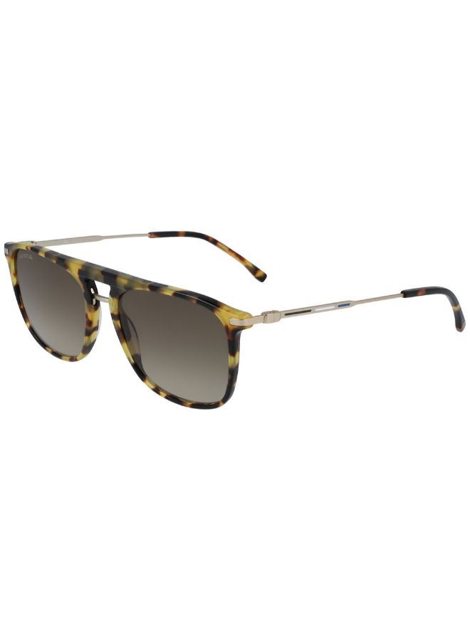 Men's Full Rimmed Navigator Sunglasses - Lens Size: 55 mm