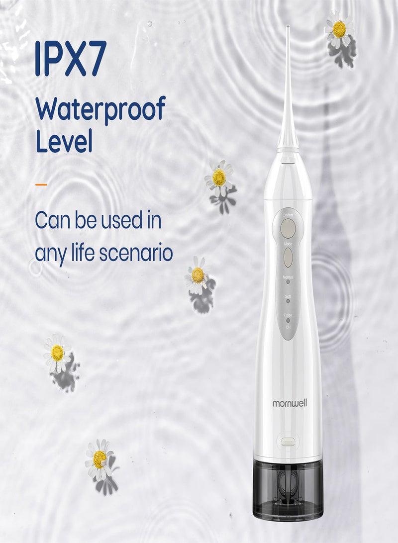 Oral Irrigator USB Rechargeable Water Flosser Portable Dental Water Jet 300ML Water Tank Waterproof Teeth Cleaner Plus Travel Bag
