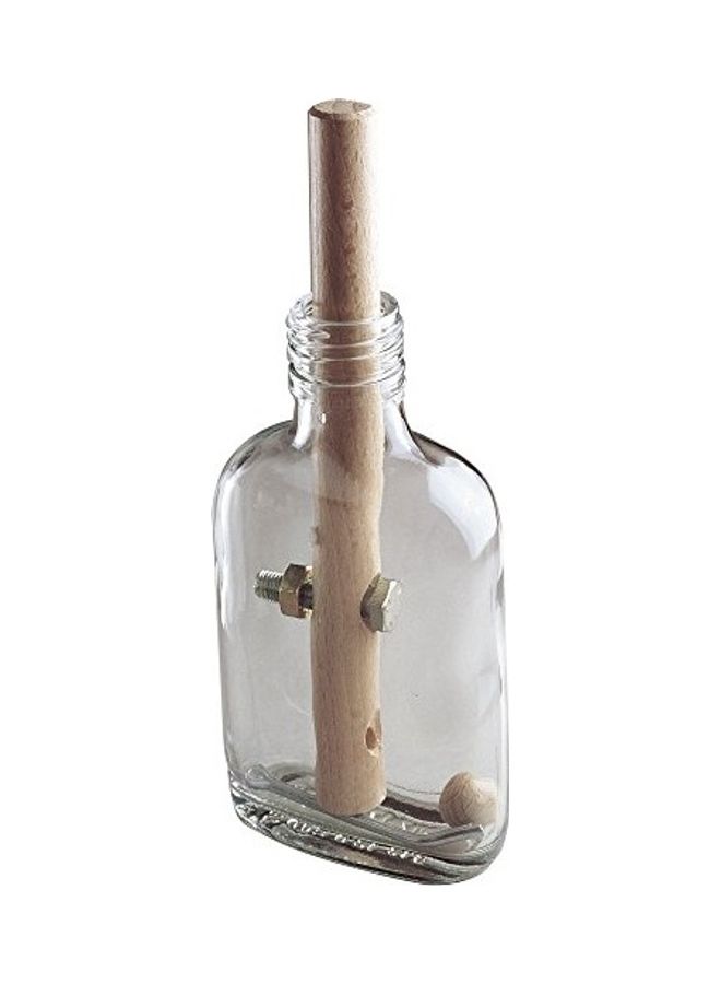 Bottled Frustration Brainteaser Puzzle 8x3x1.5inch