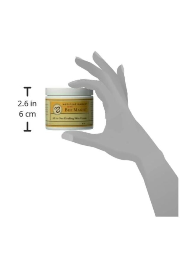 2-Piece Sweet Bee Magic All in One Healing Skin Cream Set