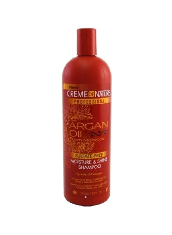 2-Piece Argan Oil Moisture And Shine Shampoo