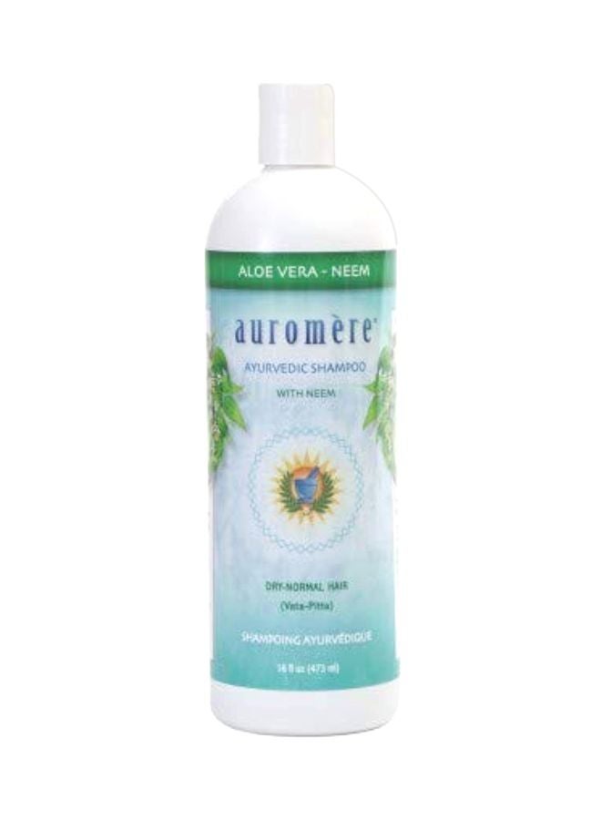 Pack Of 2 Ayurvedic Shampoo