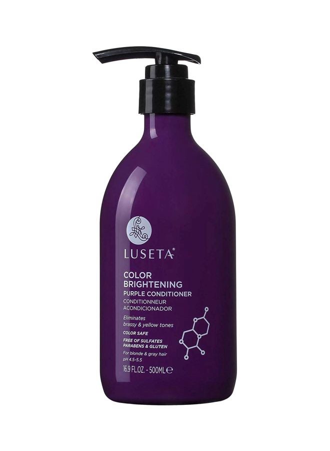 Color Brightening Purple Conditioner