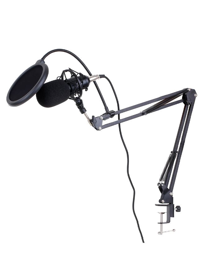 Recording And Broadcasting Condenser Microphone 1D7066SGY Multicolour