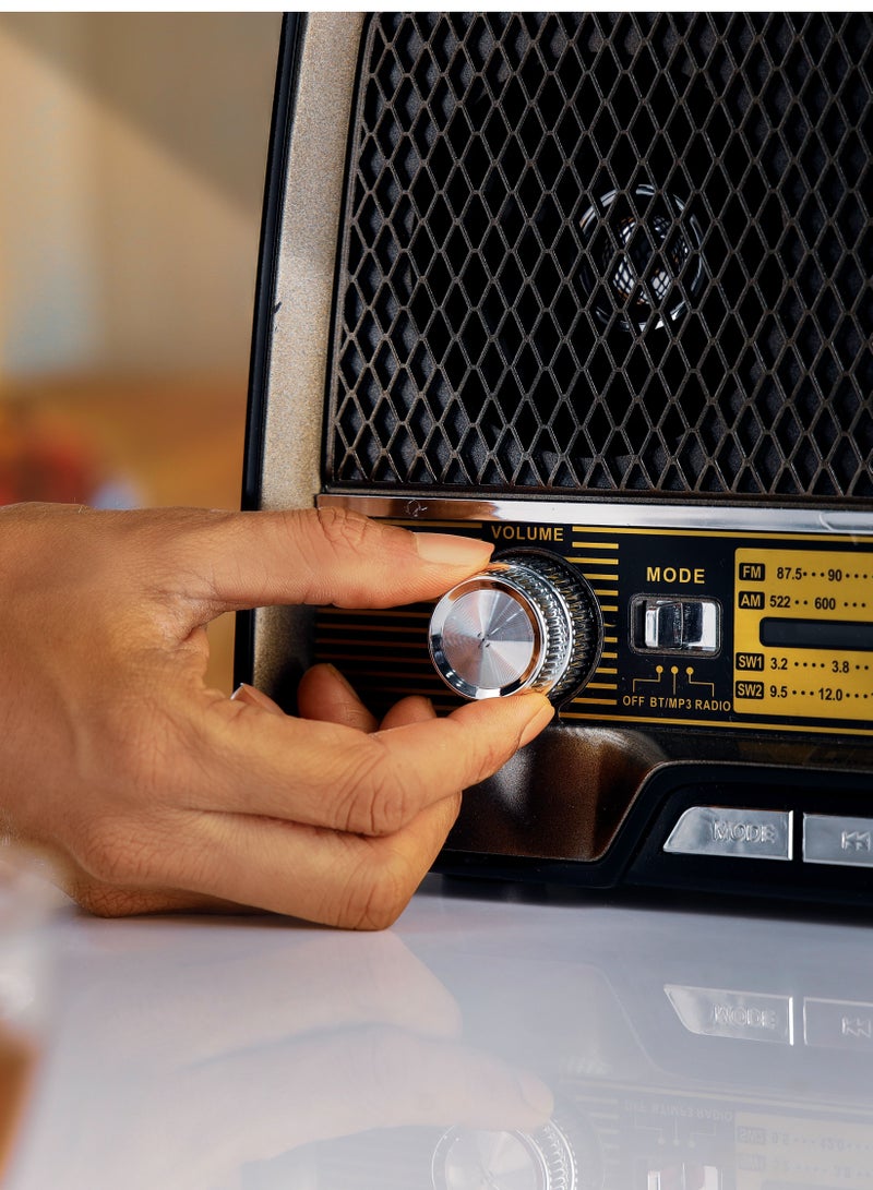Rechargeable Radio with Bluetooth, 3-Band Radio, | AUX Input, Rechargeable Battery Radio | AC/ DC Operation | BT/ FM/ MP3/ USB/ TF Card | GR13016