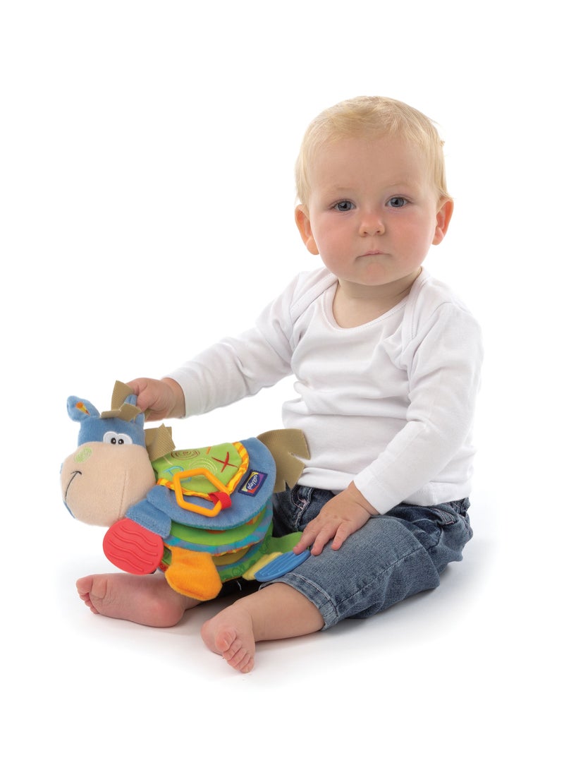 Toy Box Teether Book