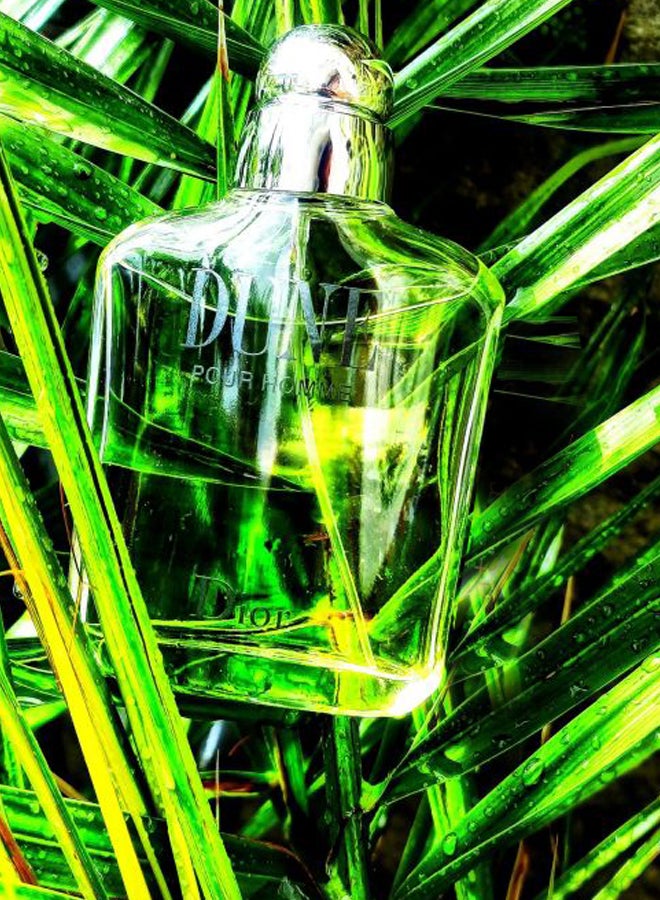 Dune Pour Homme EDT 100ml