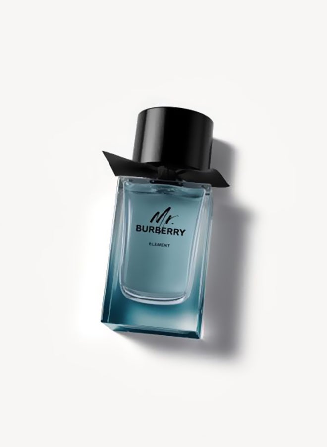 Mr. Burberry EDT 100ml