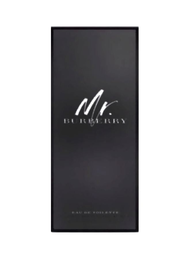 Mr.Burberry EDT 100ml