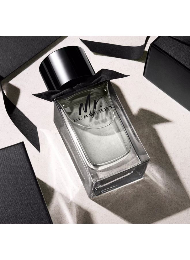 Mr.Burberry EDT 100ml