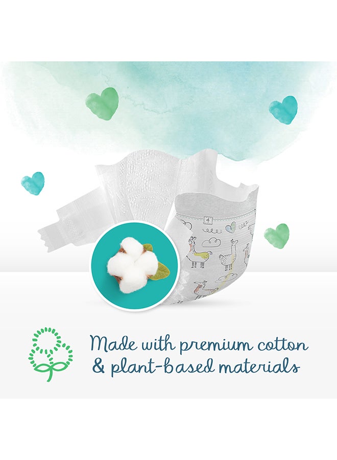 Pure Protection Diapers, Size 3, 6 - 10 Kg, 31 Count - Dermatologically Tested