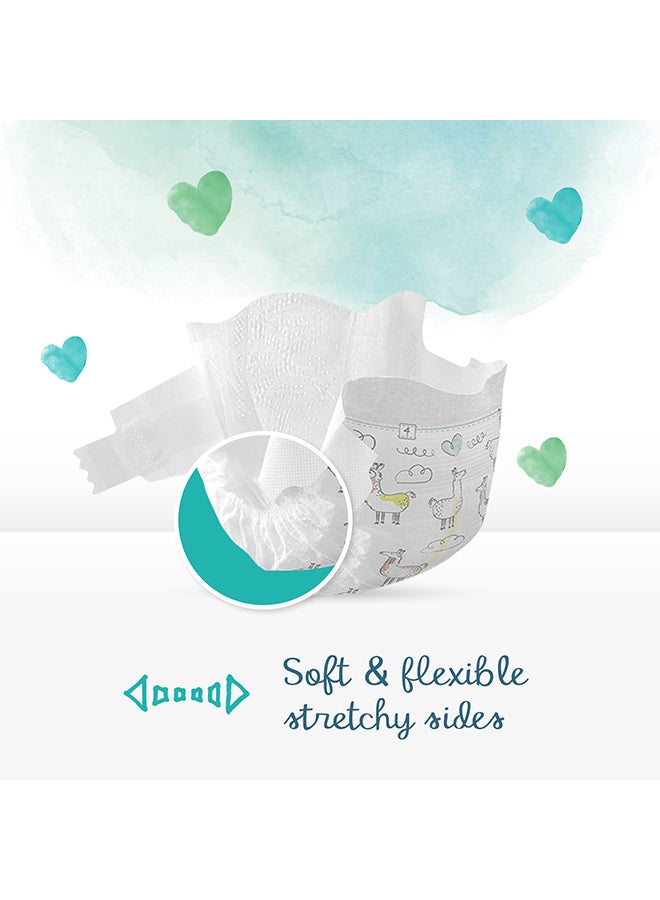 Pure Protection Diapers, Size 3, 6 - 10 Kg, 31 Count - Dermatologically Tested